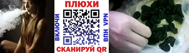 цены   Пласт  ГАШ Ice-O-Lator 