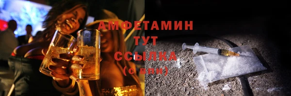 гидра Горно-Алтайск