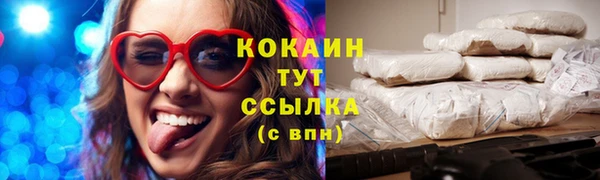 гидра Горно-Алтайск