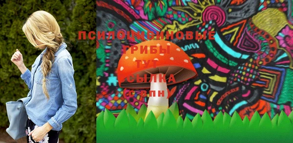 a pvp Горняк
