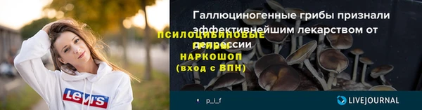 гидра Горно-Алтайск