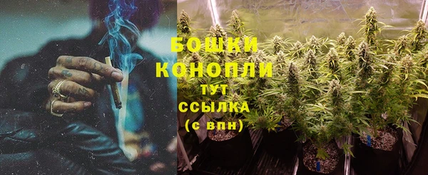 a pvp Горняк