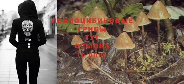 спайс Горнозаводск