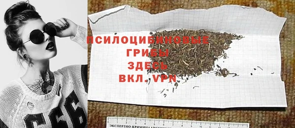 спайс Горнозаводск