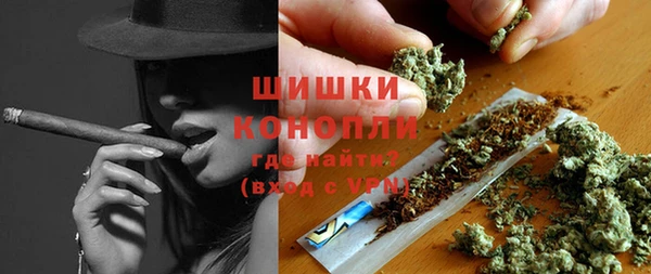 ПСИЛОЦИБИНОВЫЕ ГРИБЫ Гусиноозёрск