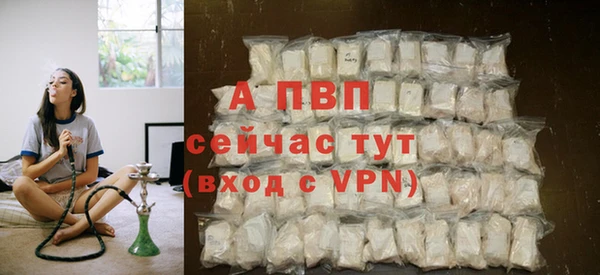 эйфоретик Гусев